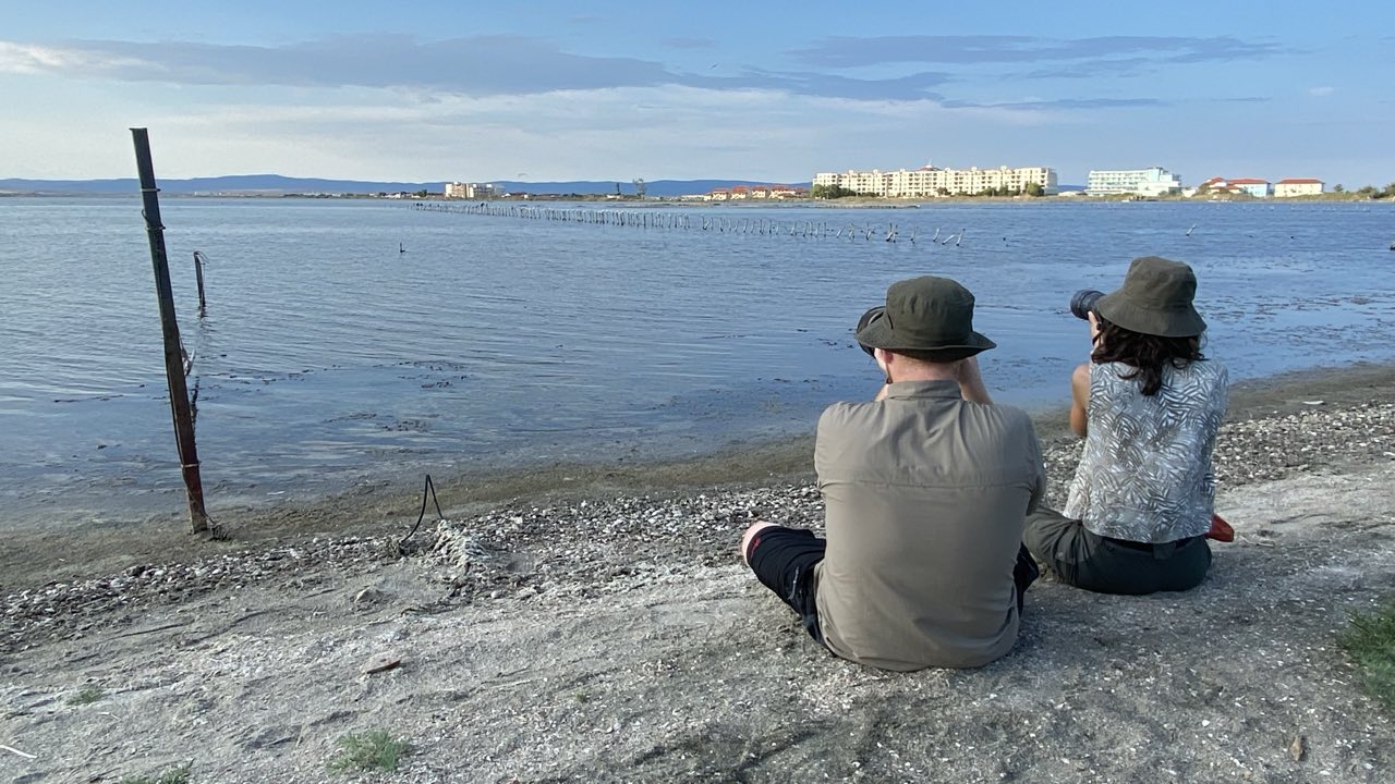 bird photography in Bulgaria